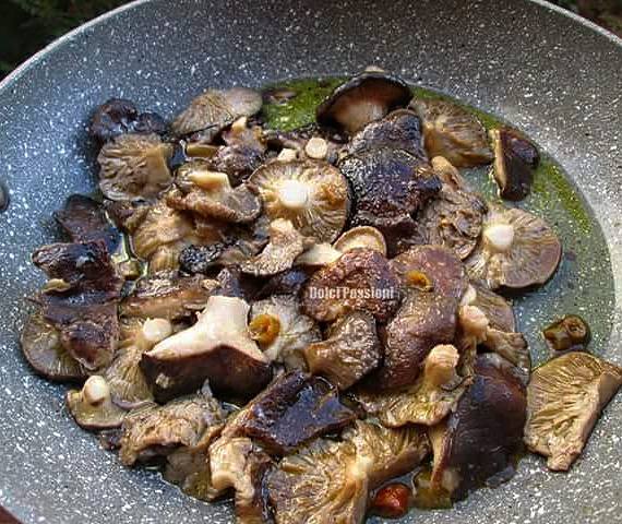 Funghi, "Cardoncelli" di Altamura, trifolati- ricetta ...