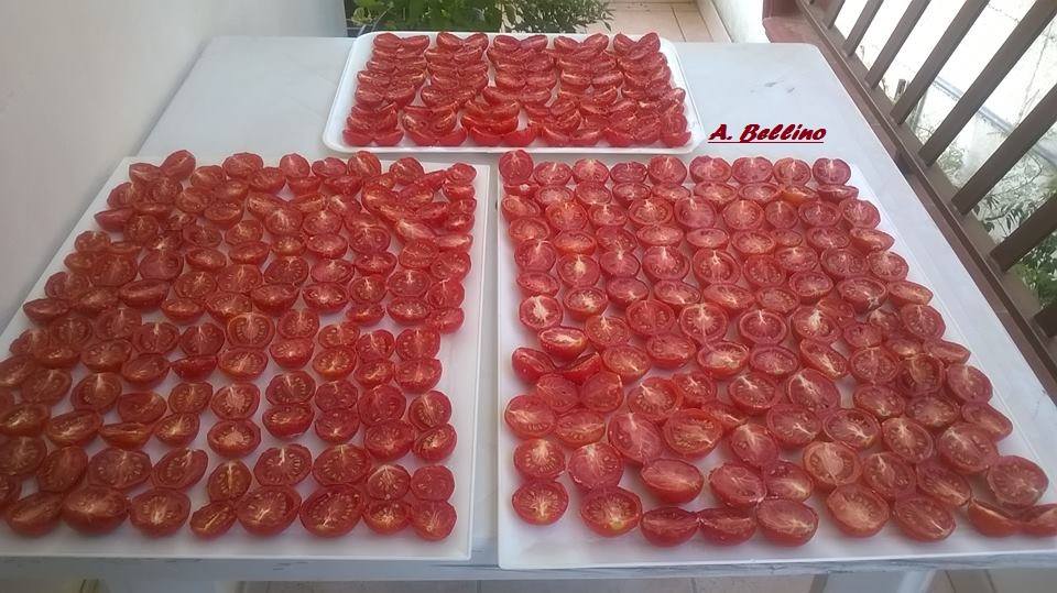 Pomodori secchi sott’olio