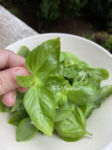 Olio profumato al Basilico: ricetta della Nina Olio profumato al Basilico: ricetta della Nina