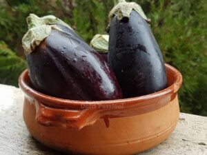 Melanzane impanate e fritte: ricetta della Nina Melanzane impanate e fritte: ricetta della Nina