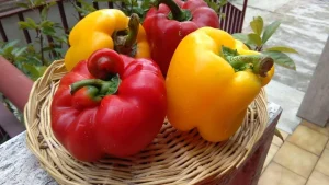 Peperoni in agrodolce sott'olio: ricetta della Nina