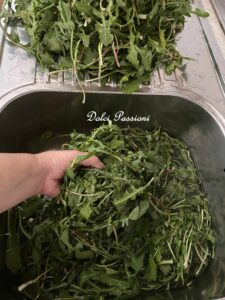 Cicorielle selvatiche "Ammolicate" Ricetta Calabrese di mia Nonna Nunziatina