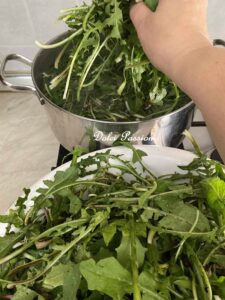 Cicorielle selvatiche "Ammolicate" Ricetta Calabrese di mia Nonna Nunziatina