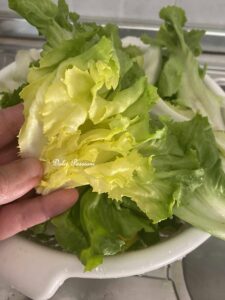 Zuppa di Scarole e Fagioli: ricetta genuina della tradizione Partenopea Zuppa di Scarole e Fagioli: ricetta genuina della tradizione Partenopea