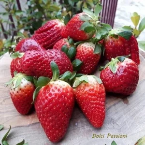 Plumcake alle Fragole e Yogurt Greco: Soffice, Profumato e Irresistibile Plumcake alle Fragole e Yogurt Greco: Soffice, Profumato e Irresistibile