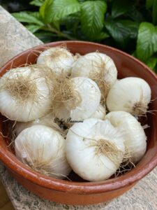 Cipolle Sabbiose al forno: Il gusto autentico della tradizione Pugliese