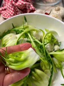 Cicorie Catalogne "Tutte Pare" ricetta Tradizionale Salentina: tutto il buono che c’è