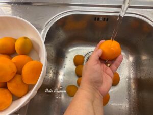 Albicocche Sciroppate, il sapore autentico dell’Estate da conservare tutto l’anno
