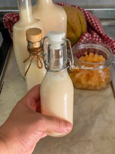 Crema di Meloncello fatta in casa: ricetta Tradizionale di casa Palasciano-Bellino