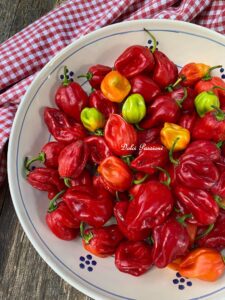 "Habanero" Sott’olio con Aglio e Prezzemolo: il Piccante che conquista tutti