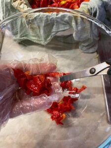 "Habanero" Sott’olio con Aglio e Prezzemolo: il Piccante che conquista tutti