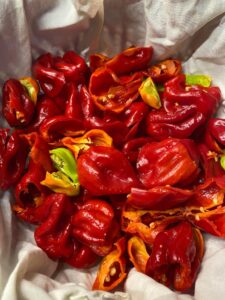 "Habanero" Sott’olio con Aglio e Prezzemolo: il Piccante che conquista tutti