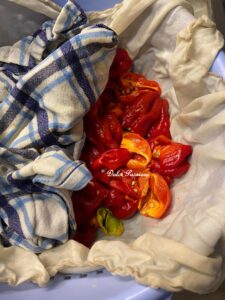 "Habanero" Sott’olio con Aglio e Prezzemolo: il Piccante che conquista tutti
